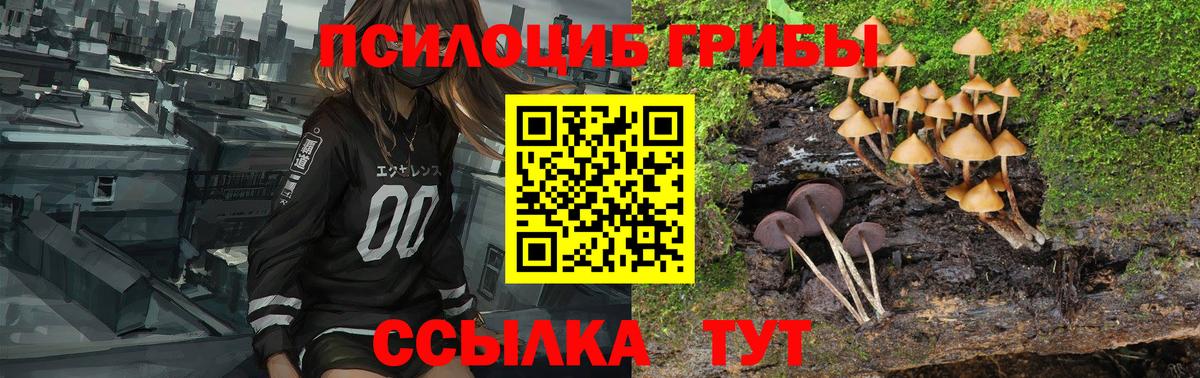 Галлюциногенные грибы Psilocybe  Галлюциногенные грибы мицелий  Братск  Вход с VPN 